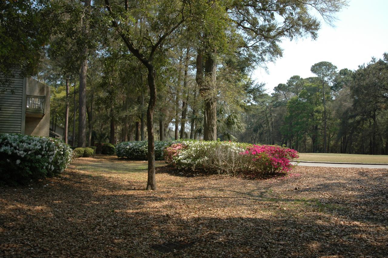 Carolina Club By Spinnaker Resorts Hilton Head Island Eksteriør billede
